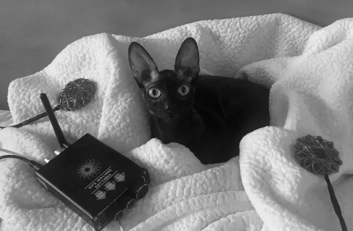 Real Rife Technology Machine - Image 4